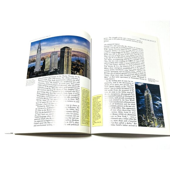 The Historical Atlas of New York City A Visual Celebration Eric Homberger 2005 - Picture 9 of 16
